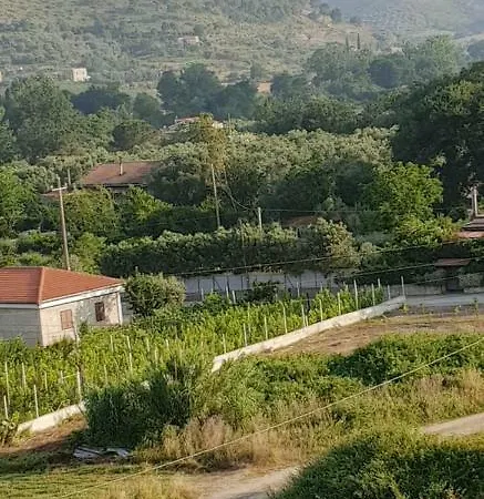 Daire Tra Mare E Collina C'e Belmare *
